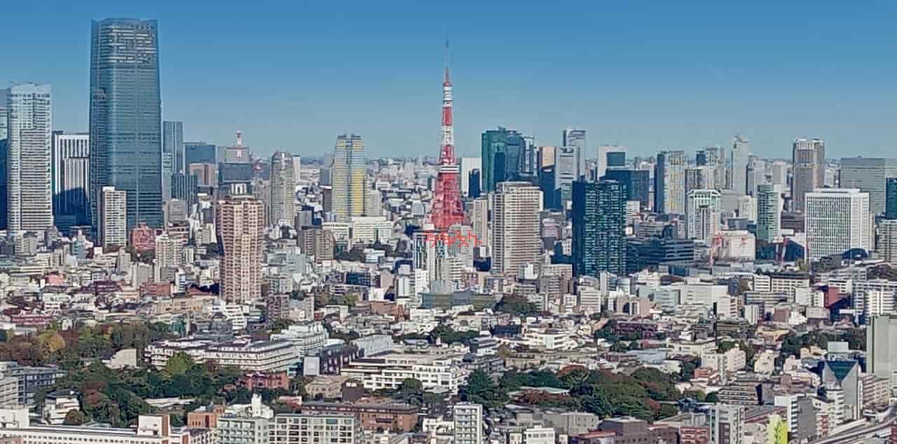 高卒で地方から東京に出て就職するのはきつい？難しいと言われる理由を解説